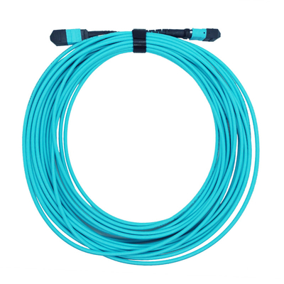 B Tipi Plenum MTP'den MTP Fiber Patch Kablosuna 10M 8 Fiber OM4 Çok Modlu